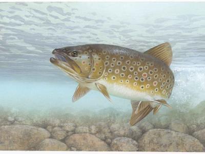 Fischessen am 13.05.2026